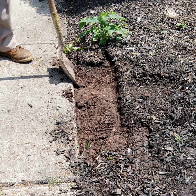 Edging and prepping Mulch bed along sidewalk - Lewisberry, PA